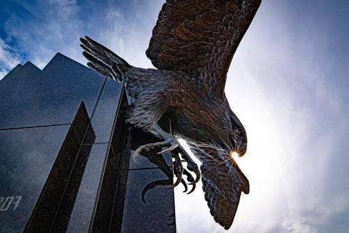 Falcon statue